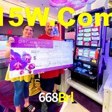 Bonus Features 668Brl